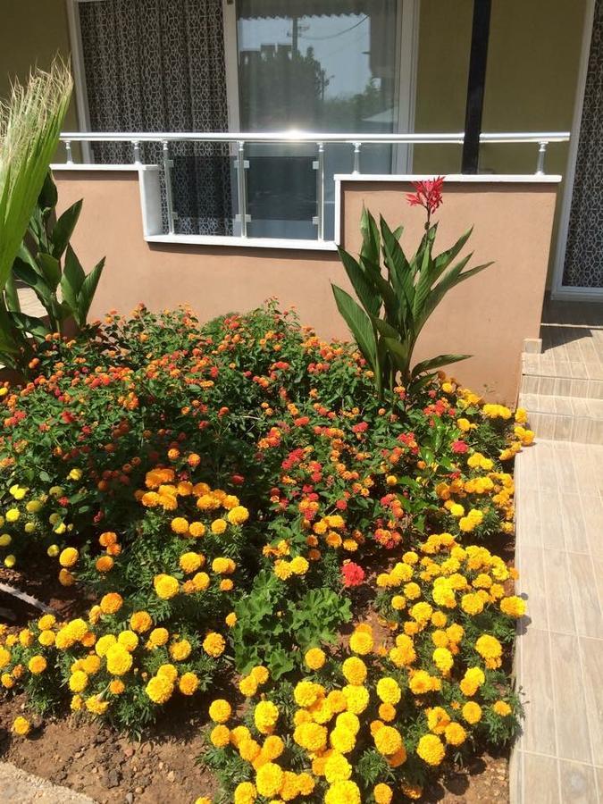 Esmeralda Apart Butik Otel Kızılot Kültér fotó